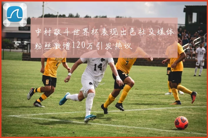 中村敬斗世界杯表现出色社交媒体粉丝激增120万引发热议
